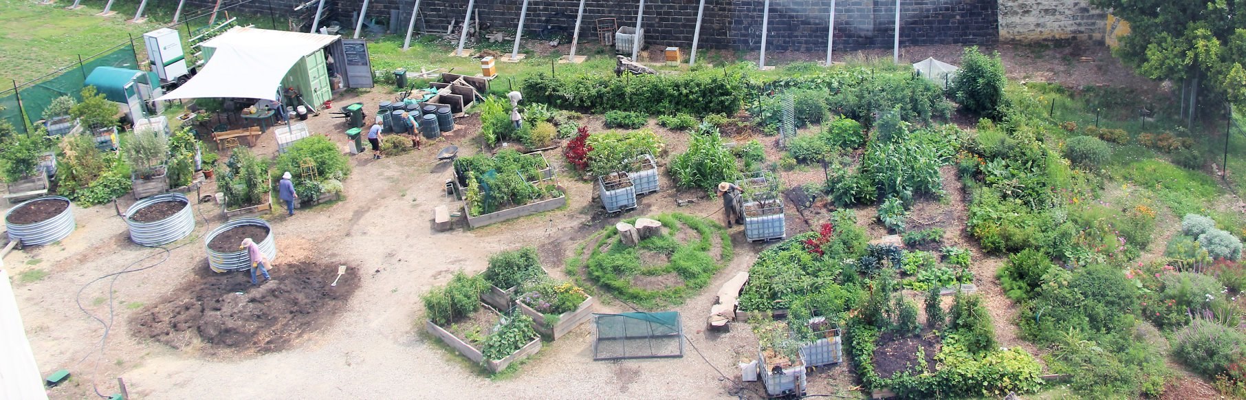 Covid Update June 2020