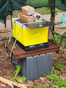 Screenshot 2025-12-28 191626