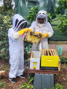 Screenshot 2025-12-28 191728