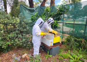 Screenshot 2025-12-29 162910