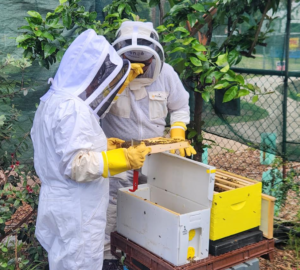 Screenshot 2025-12-29 162927